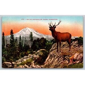 Postcard Washington Mt. Tacoma The Two Sentinels Elk Posted 1909 Made in USA